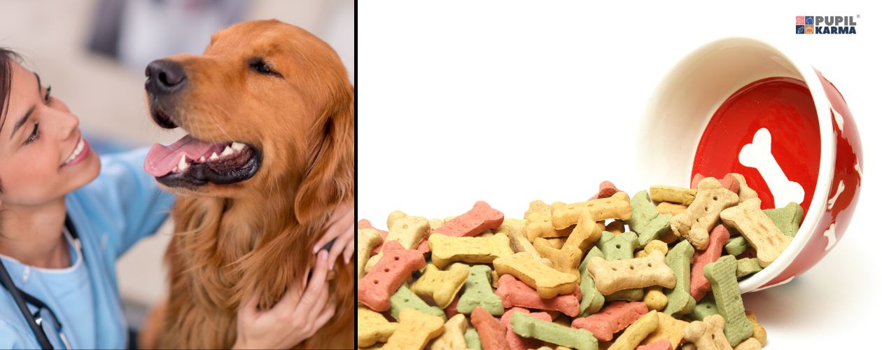 Skonsultuj ilość kalorii ze specjalistą. po lewej stronie zdjęcie pani weterynarz z psem w dużym zbliżeniu na ich głowy. po prawej na białym tle czerwona miska z wysypującymi się smaczkami. 